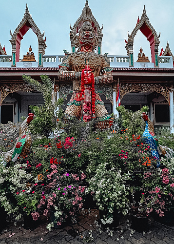 One month in THAILAND 2024