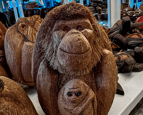 One month in SRI LANKA 2025