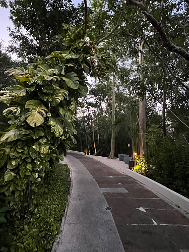 Flirt Summit CANCUN 2021