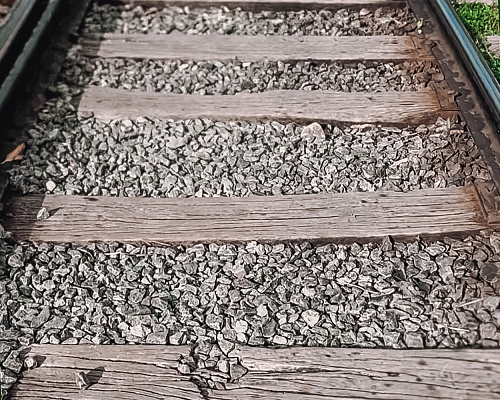 One month in SRI LANKA 2025