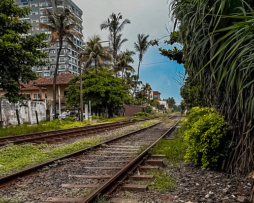 One month in SRI LANKA 2025