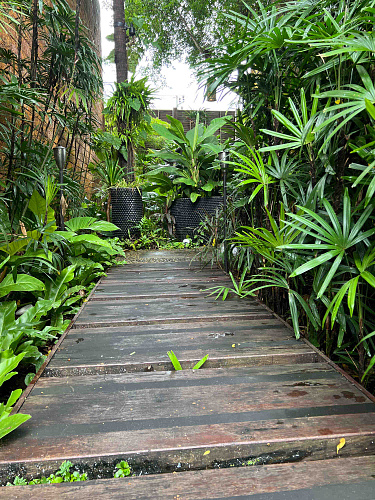 Flirt Summit THAILAND 2022