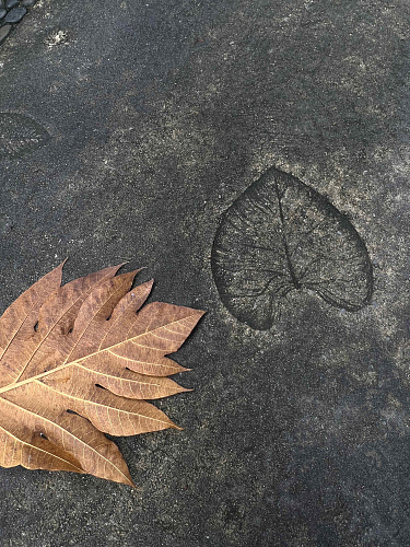 Flirt Summit THAILAND 2022