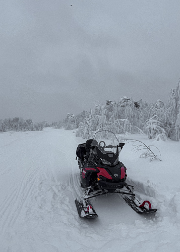 New year Snow Time 2025