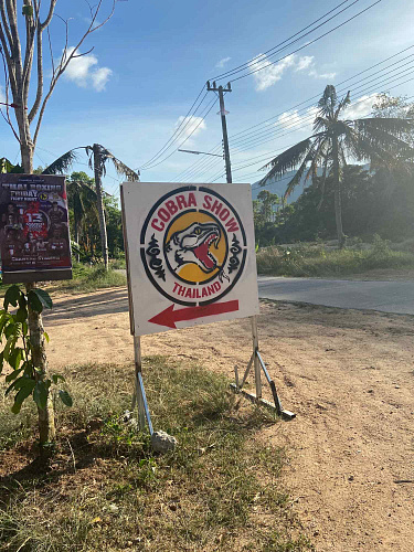 Trip BANGHOK & SAMUI 2020