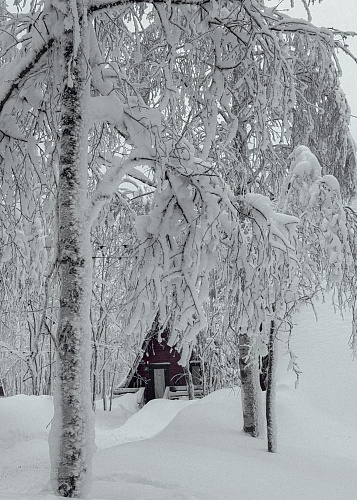 New year Snow Time 2025