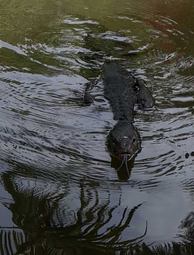 Flirt Summit THAILAND 2022