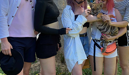 Trip BANGHOK & SAMUI 2020