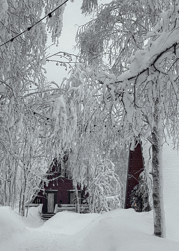 New year Snow Time 2025