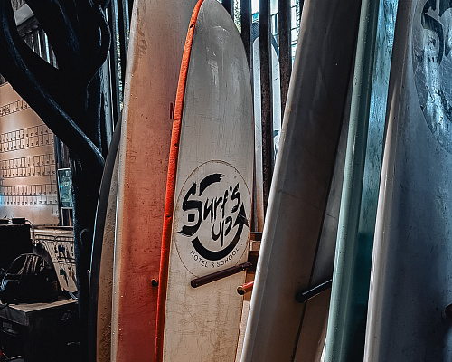 One month in SRI LANKA 2025