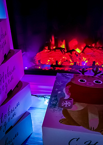 New year Magic deer 2024