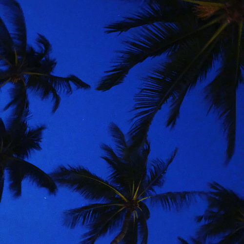 Trip BANGHOK & SAMUI 2020