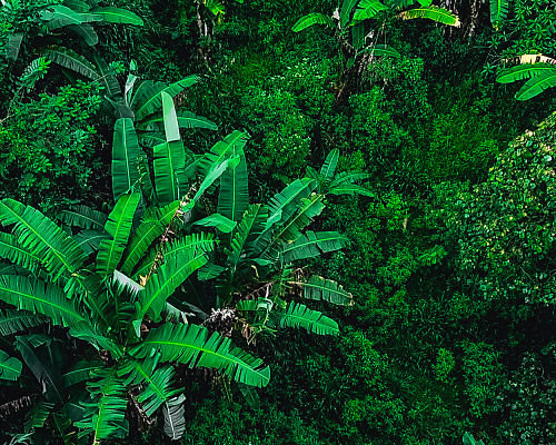 One month in SRI LANKA 2025