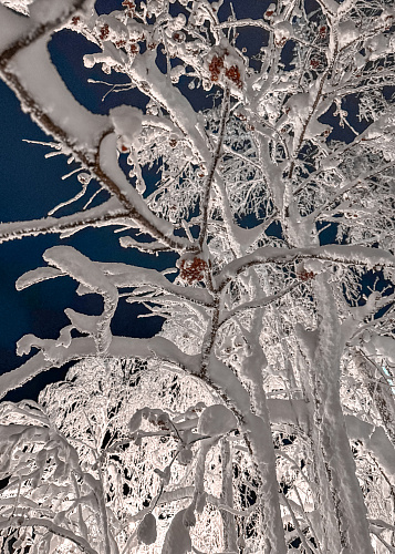 New year Snow Time 2025