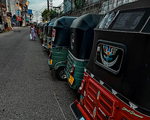 One month in SRI LANKA 2025