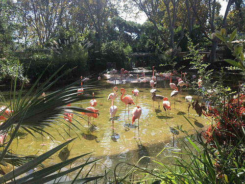 Trip SPAIN & FRANCE 2019