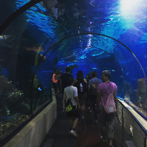 Trip SPAIN & FRANCE 2019