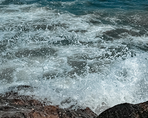 One month in SRI LANKA 2025