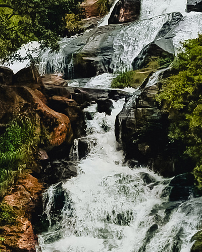 One month in SRI LANKA 2025