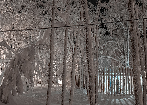 New year Snow Time 2025