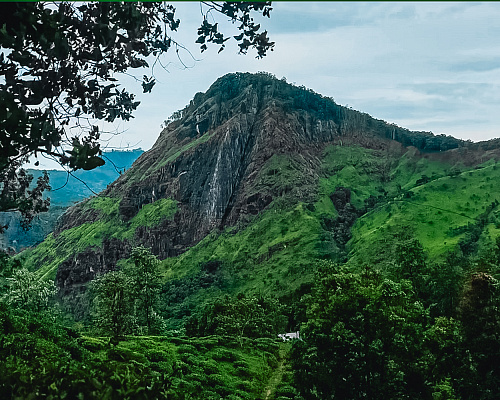 One month in SRI LANKA 2025