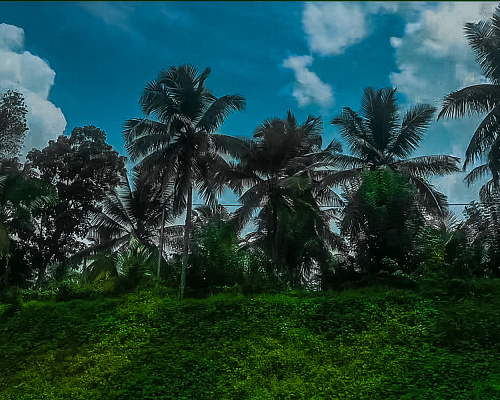 One month in SRI LANKA 2025