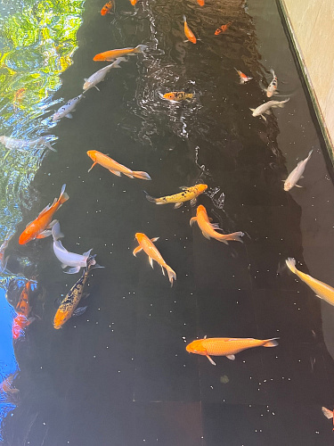 Flirt Summit CANCUN 2021