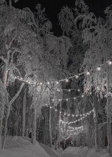 New year Snow Time 2025