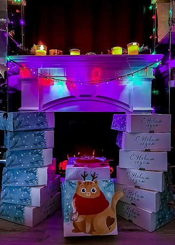 New year Magic deer 2024