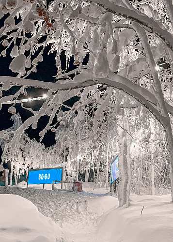 New year Snow Time 2025