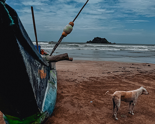 One month in SRI LANKA 2025