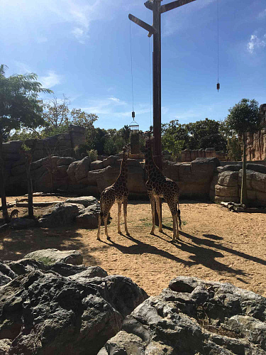 Trip SPAIN & FRANCE 2019