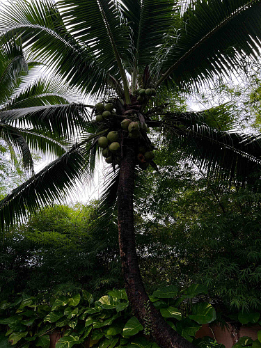 Flirt Summit THAILAND 2022