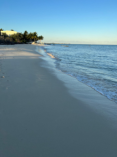 Flirt Summit CANCUN 2021