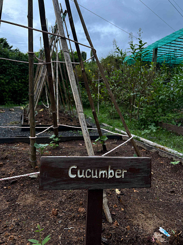 Flirt Summit THAILAND 2022