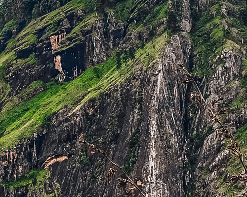 One month in SRI LANKA 2025