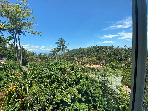 Trip BANGHOK & SAMUI 2020