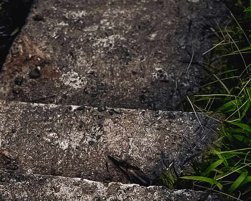 One month in SRI LANKA 2025