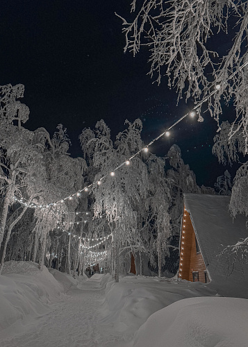 New year Snow Time 2025