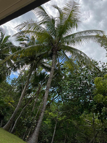 Flirt Summit CANCUN 2021