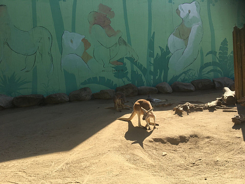 Trip SPAIN & FRANCE 2019