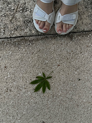 Flirt Summit CANCUN 2021