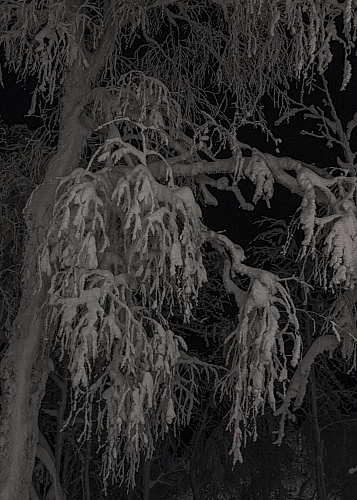 New year Snow Time 2025