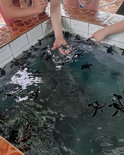 One month in SRI LANKA 2025