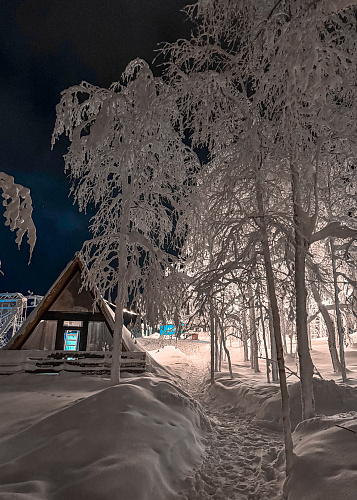 New year Snow Time 2025