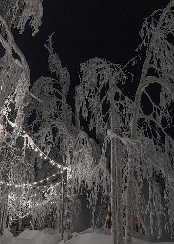 New year Snow Time 2025