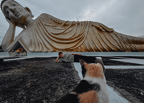 One month in THAILAND 2024