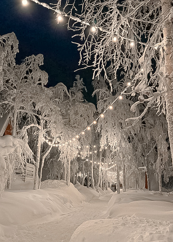 New year Snow Time 2025