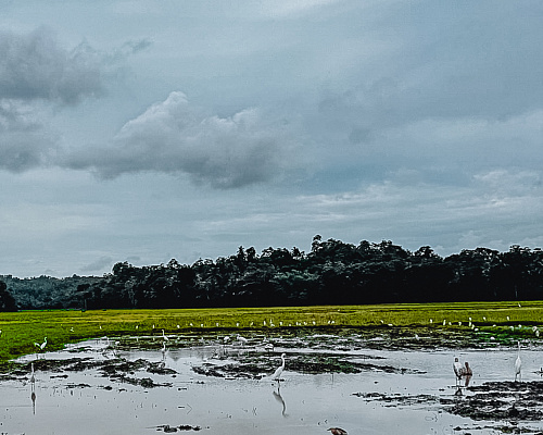 One month in SRI LANKA 2025