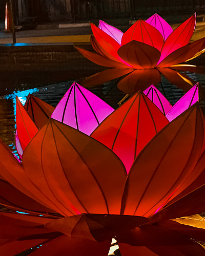 One month in SRI LANKA 2025